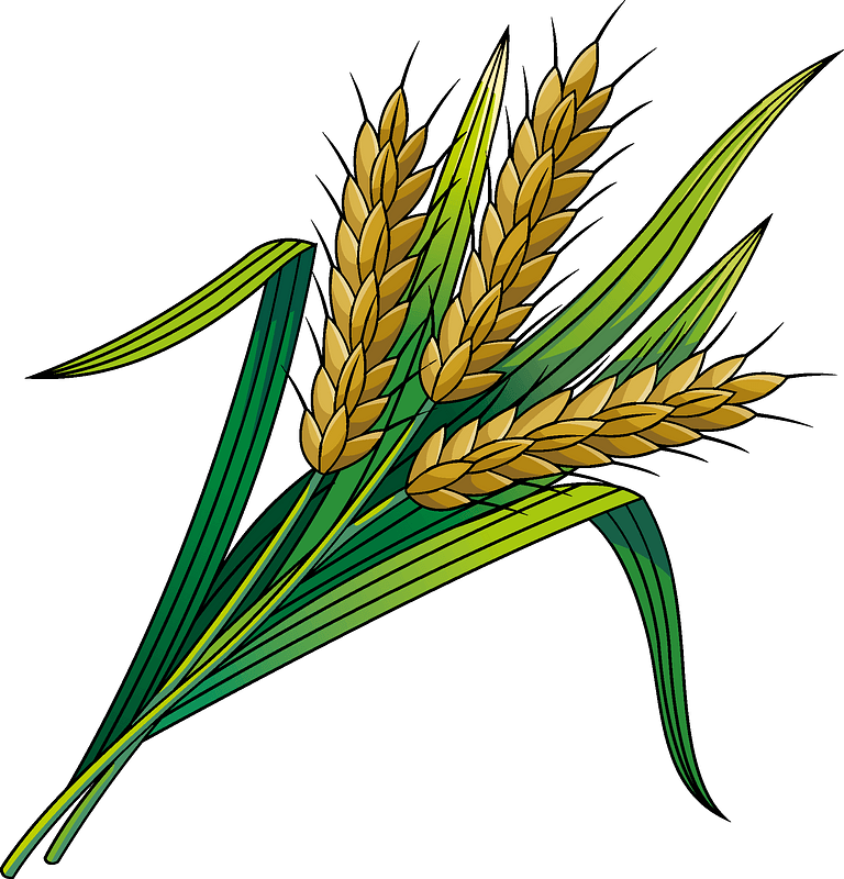 Wheat Market Outlook - Nov 2025